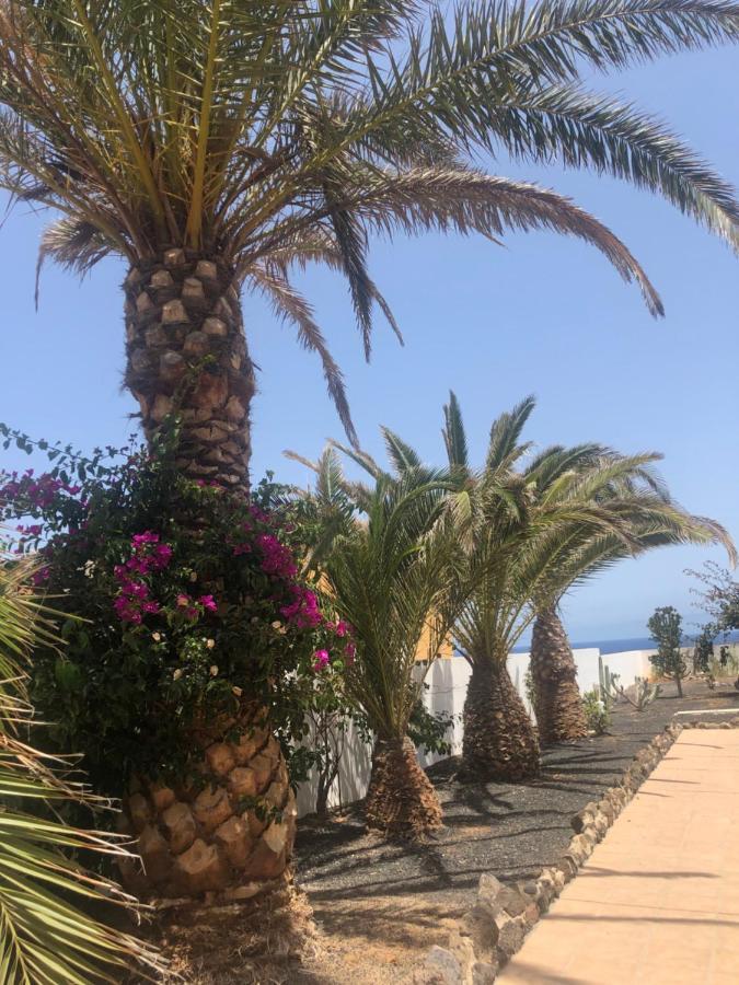 Apartamento La Tortuga De Fuerteventura Costa De Antigua Eksteriør bilde